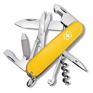 Companion Yellow