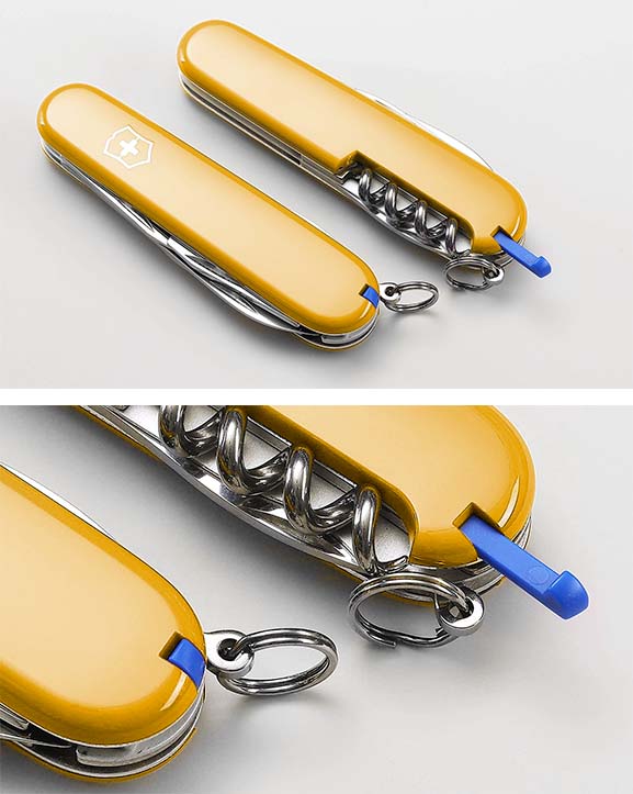 Blue toothpick and tweezers